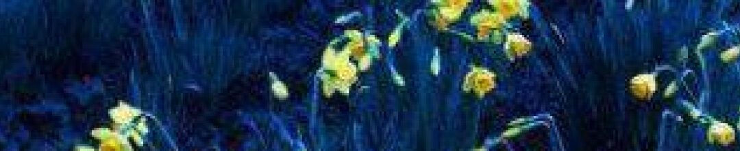 Co-Regulation Manual Therapy Columbus