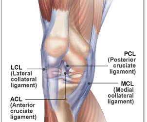 Sports Related Knee Injury