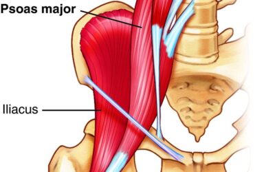 Better Posture with Myofascial Work
