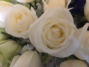 Craniosacral Therapy