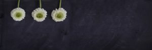 Craniosacral Therapy