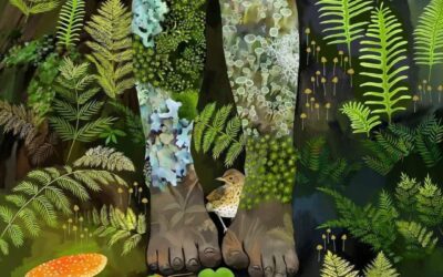 Remembering Your Life Purpose: Craniosacral Therapy