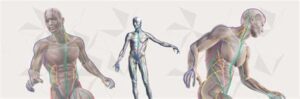 Posture Somato Emotional Release