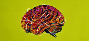 Emotional Intelligence