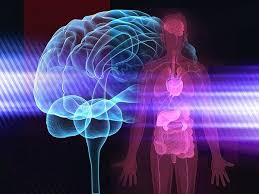 How do the Mind and Body Connect?