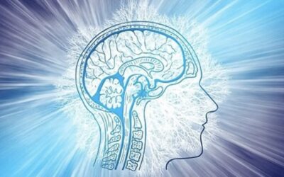 How Much Does Energy Healing Cost in Columbus Ohio