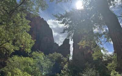 Find An Experienced Healer in Columbus, Ohio