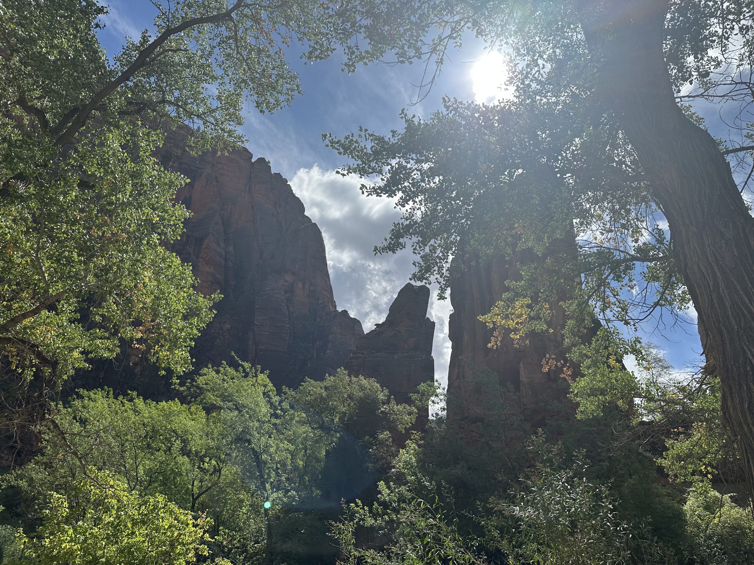 Energy and Nature Healing